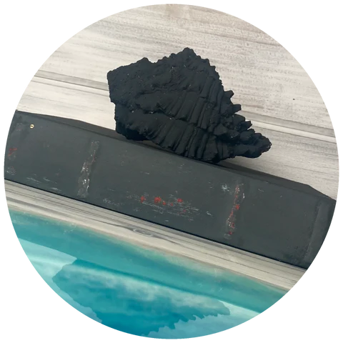 Coastal Charcoal ⭐️ BOGO